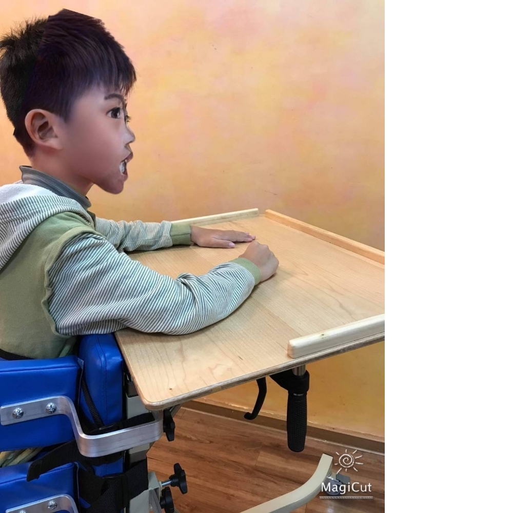 前趴式站立架(不繡鋼