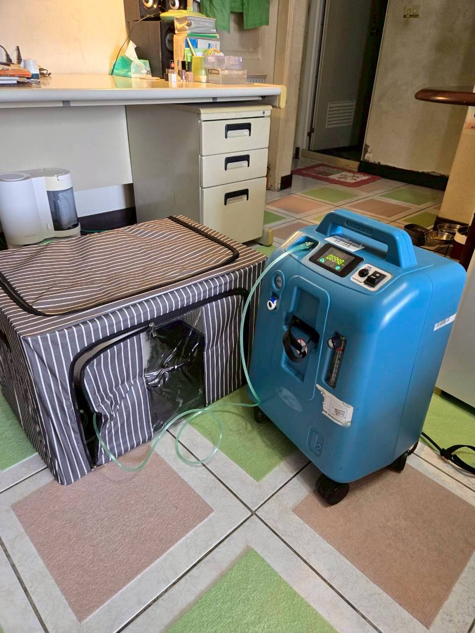 彰化市寵物氧氣機租借推薦-美國耐德克NIDEK大流量貓狗集氣箱送機紀錄-安心醫療