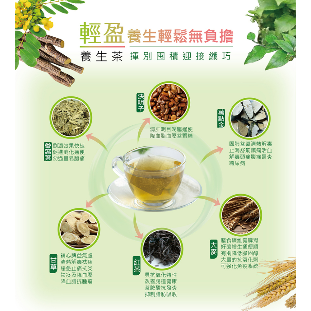 輕盈茶(1組10入)