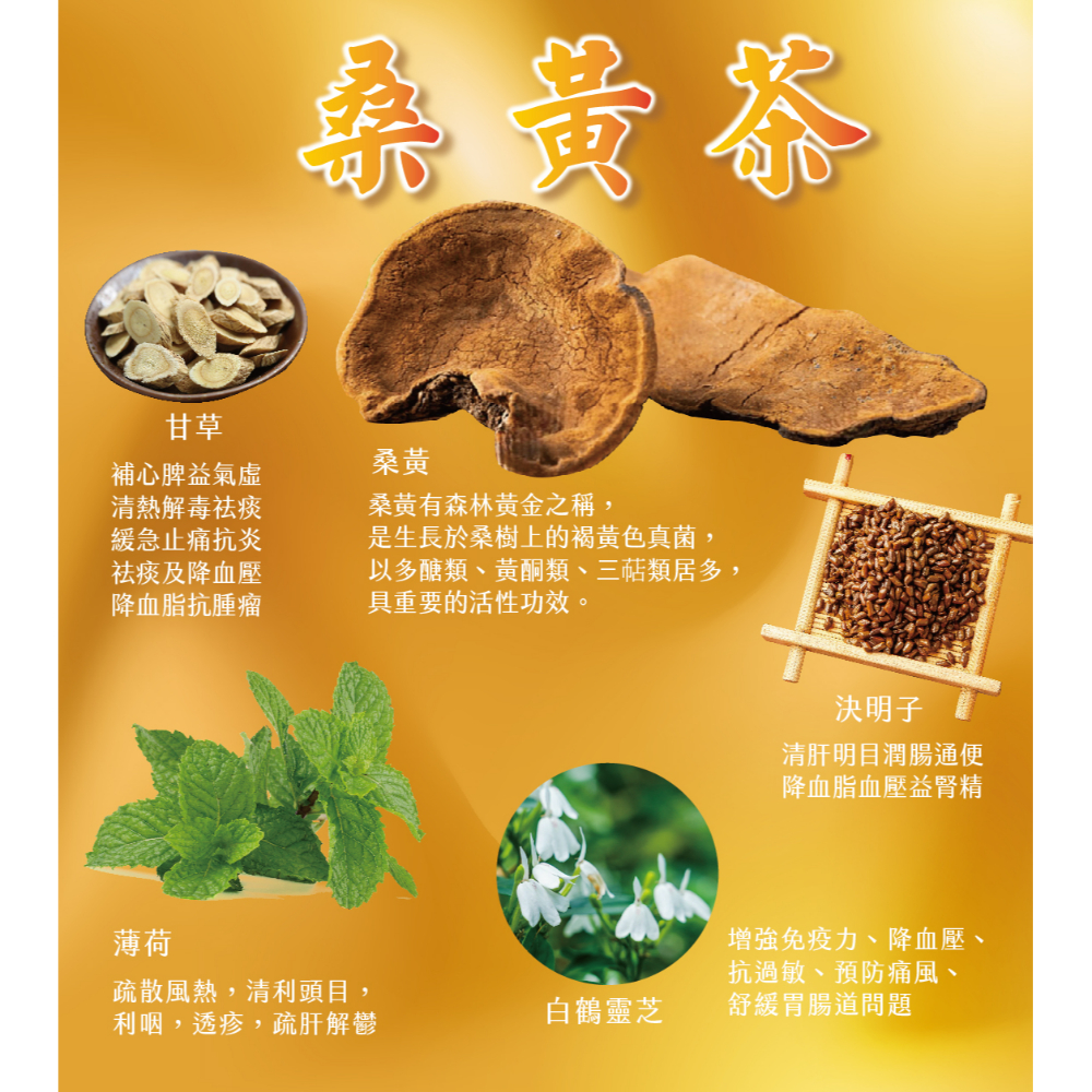 桑黃茶(1組10入)再送一包