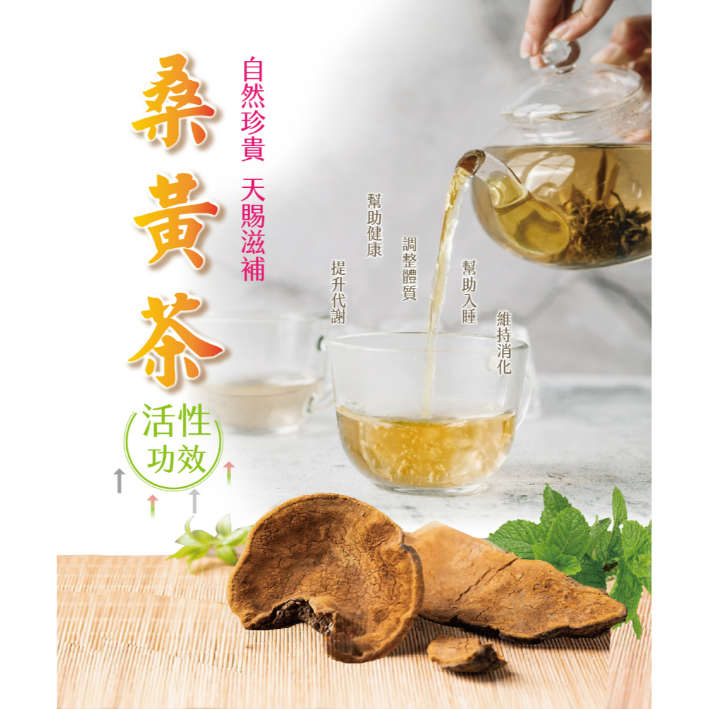 桑黃茶(1組10入)