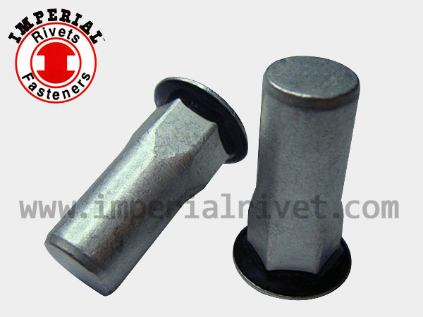 Close End Rivet Nut with Seal