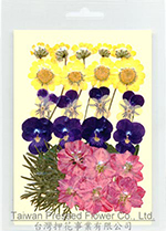 01424 Garden Design Pack-Larkspur Roseate