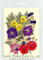 01423 Garden Design Pack-Larkspur Purple