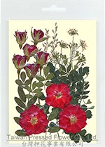 01415 Rose Garden Flower Collection