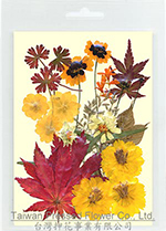01412 Autumnal Color Flower Collection