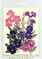 01411 P+K Gradual Flower Collection