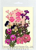 01409 Pink series Flower Collection