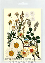 01407 White series Flower Collection