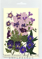 01406 Purple series Flower Collection