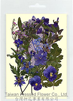 01405 Blue series Flower Collection
