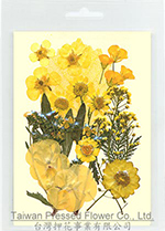 01403 Yellow series Flower Collection