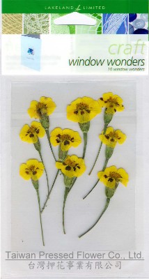 01717 SA-pack -Marigold Yellow