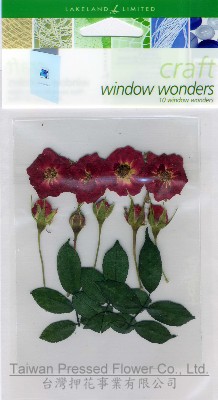 01718 SA-pack -Minirose Buds Red