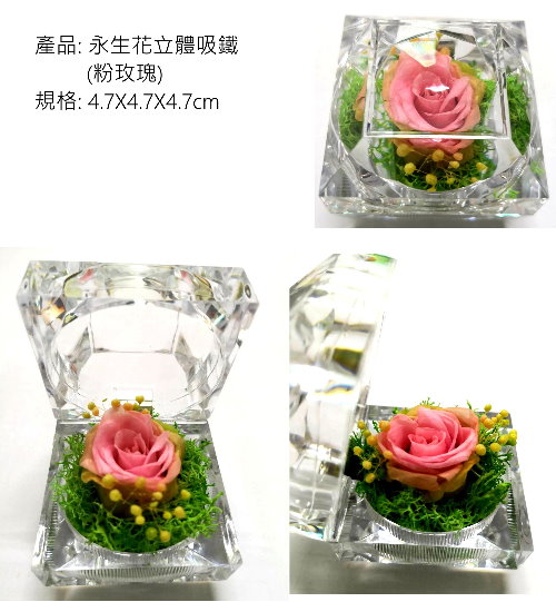 Acrylic preserved flower magnet