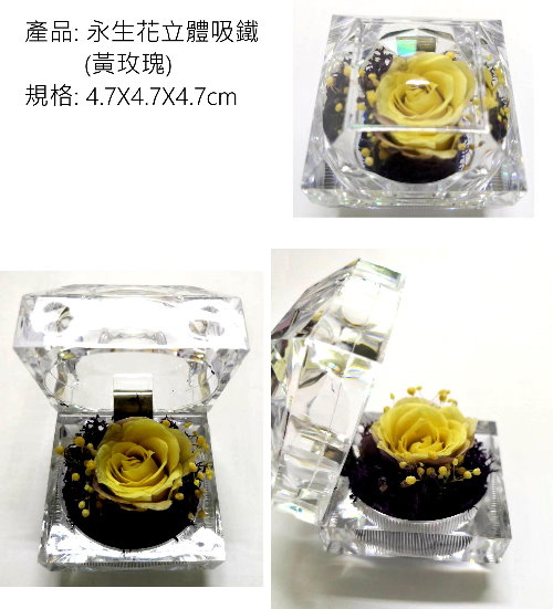 Acrylic preserved flower magnet