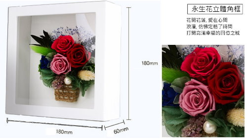 Preserved Flower Shadow Boxes