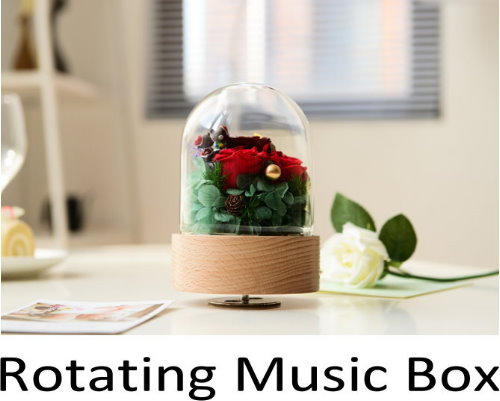 Rotating music box