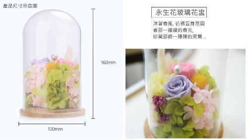 Seal Preserved Flower Vase