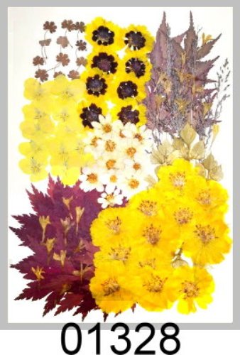 01328 MA-Pack- Autumnal Color Flower Collection