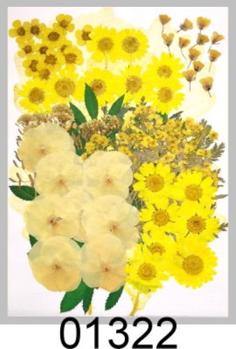 01322 MA-Pack- Yellow series Flower Collection