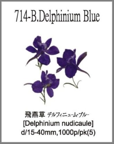 714-B.Delphinium Blue