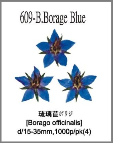 609-B.Borage Blue