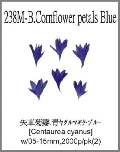 238M-B.Cornflower petals Blue 