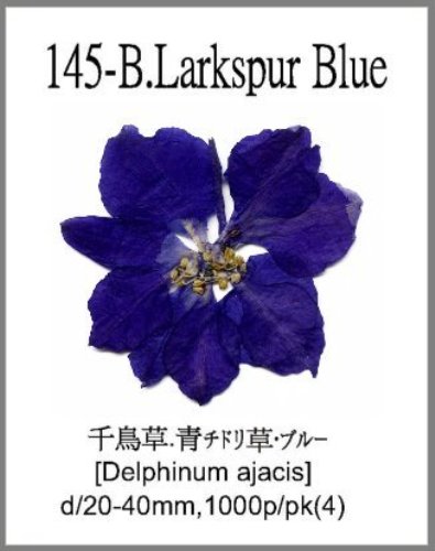 145-B.Larkspur Blue