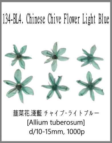 134-B. Chinese Chive Flower Blue 