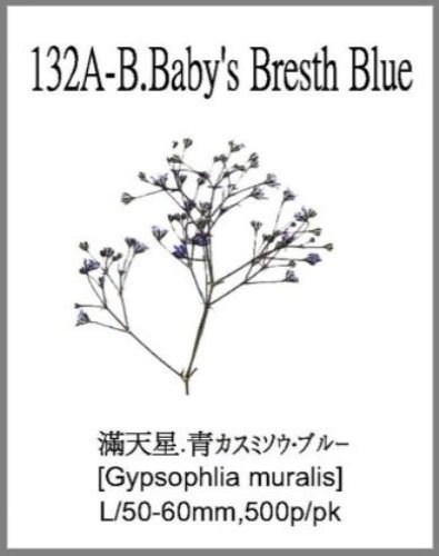 132A-B.Baby's Breath Blue 
