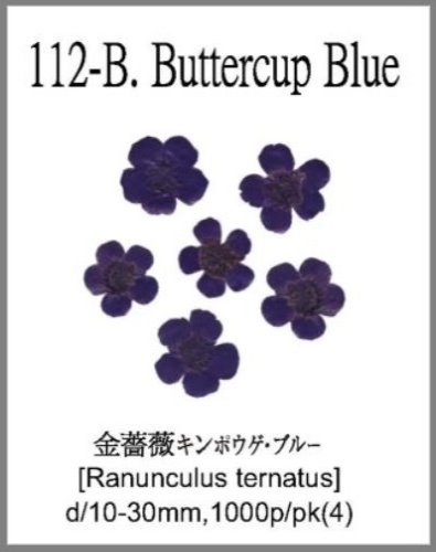 112-B.Buttercup Blue 