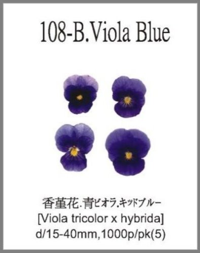 108-B.Viola Blue