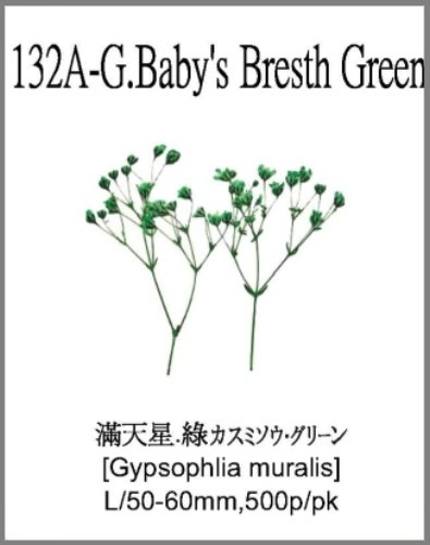 132A-G.Baby's Breath Green 