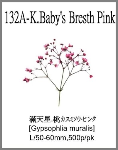 132A-K.Baby's Breath Pink 
