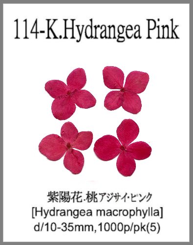 114-K.Hydrangea Pink 
