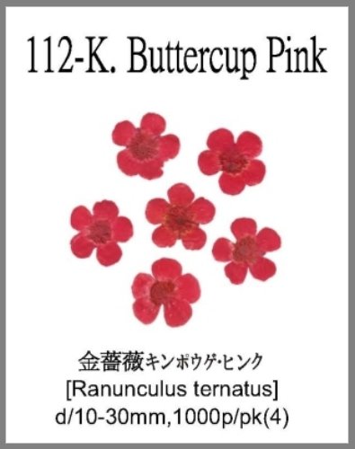 112-K.Buttercup Pink 