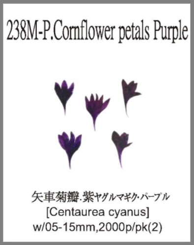 238M-P.Cornflower petals Purple 