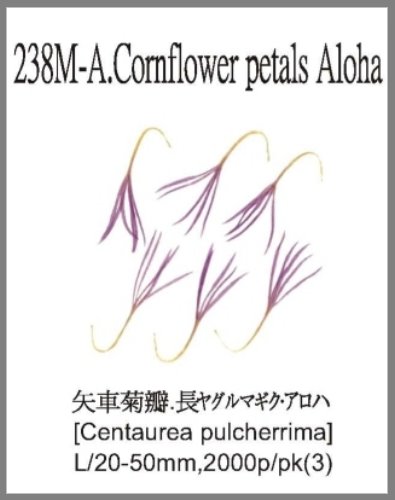 238M-A.Cornflower petals Aloha 
