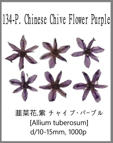 134-P. Chinese Chive Flower Purple 