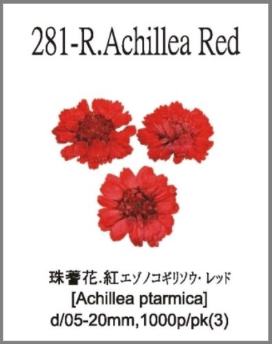 281-R.Achi