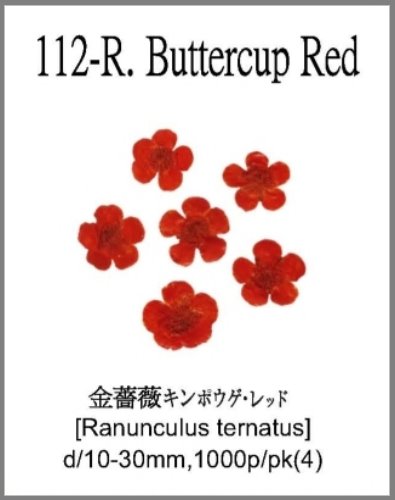 112-R.Buttercup Red 