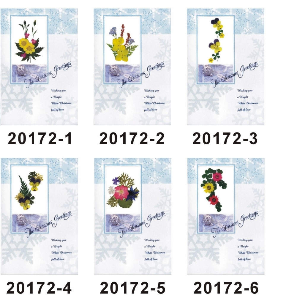 20170 series Greeting Cards-01