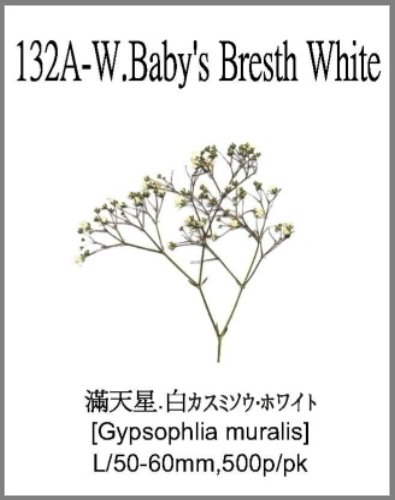 132A-W.Baby's Breath White 