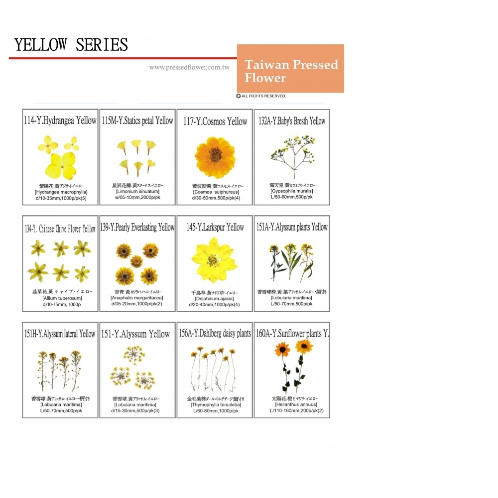 Pressed Flower Yellow series