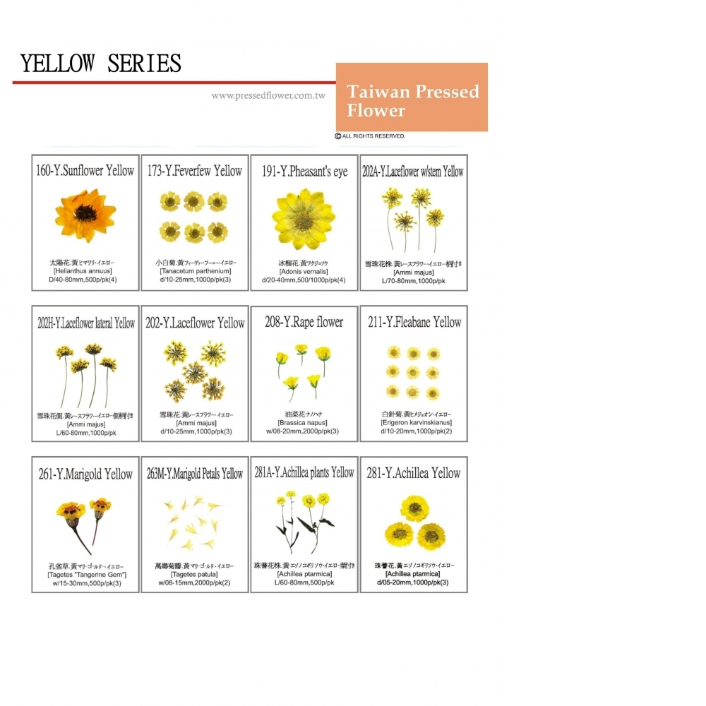 Pressed Flower Yellow series
