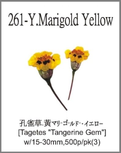 261-Y.Marigold Yellow