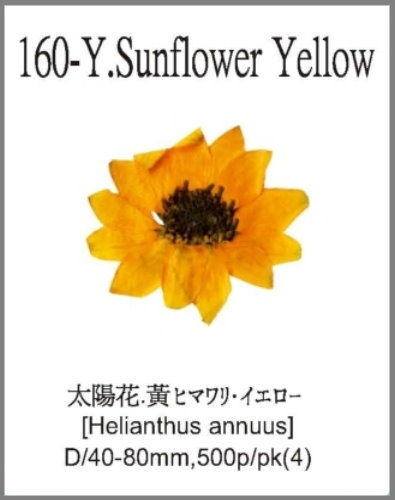 160-Y Sunflower Yellow 