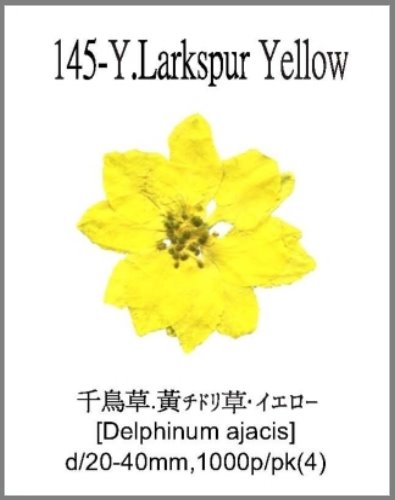145-Y.Larkspur Yellow 