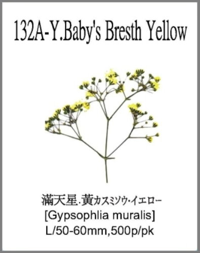 132A-Y.Baby's Breath Yellow 